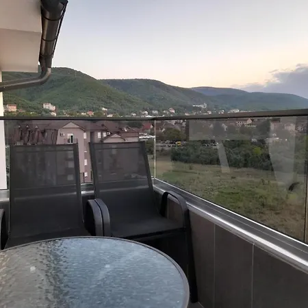 Mirkovic Soko Banja