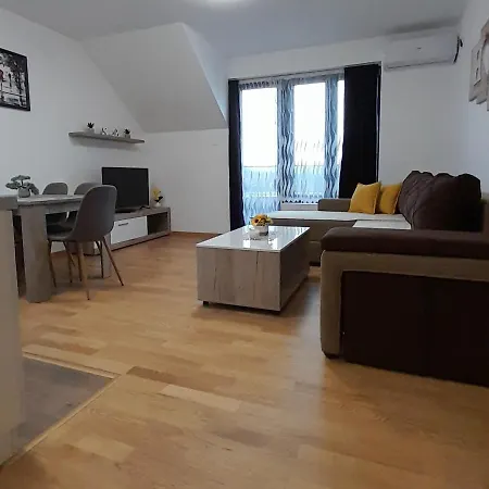 Affittacamere Mirkovic Soko Banja