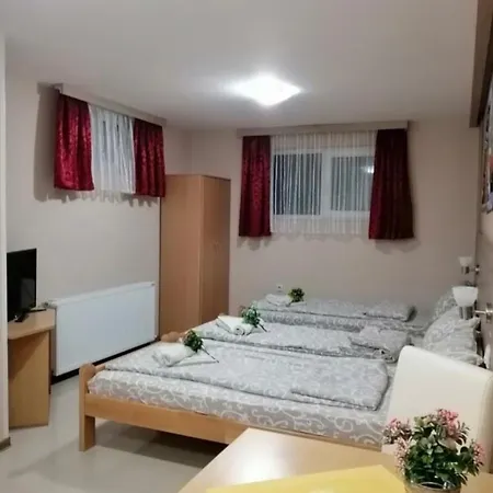 Mirkovic Guest house
