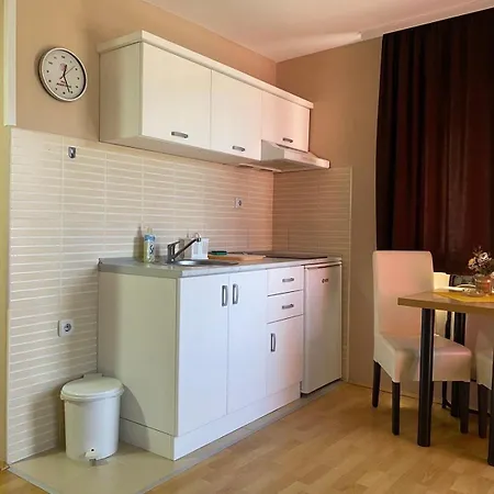 Guest house Mirkovic 3*