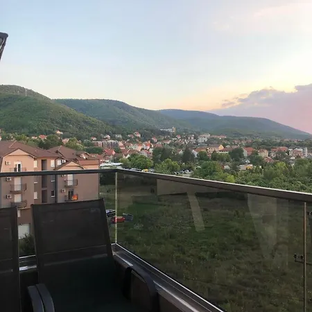 Mirkovic Guest house Soko Banja