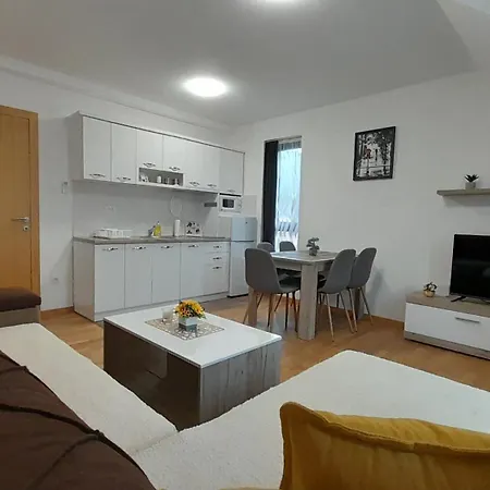 Guest house Mirkovic 3*