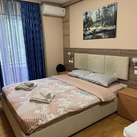 Mirkovic Guest house Soko Banja