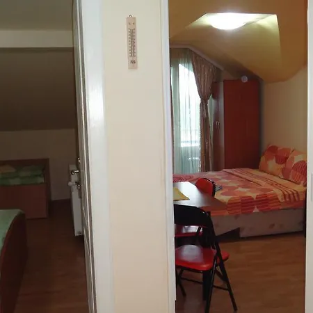 Mirkovic Soko Banja