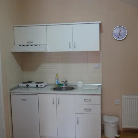 Mirkovic Affittacamere Soko Banja