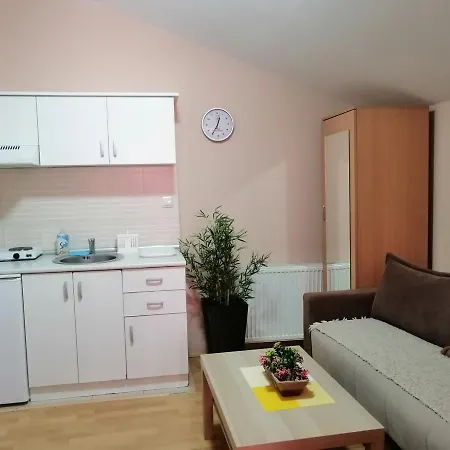 Mirkovic Affittacamere Soko Banja